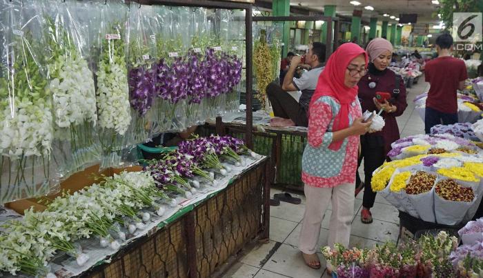 Pasar satwa dan tanaman hias yogyakarta pasty